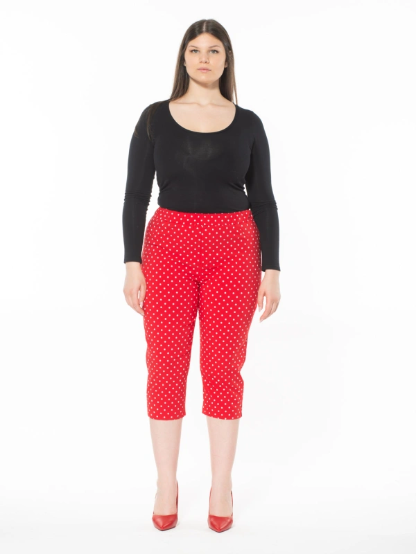 25150 CAPRI POIS