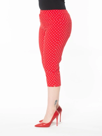 25150 CAPRI POIS