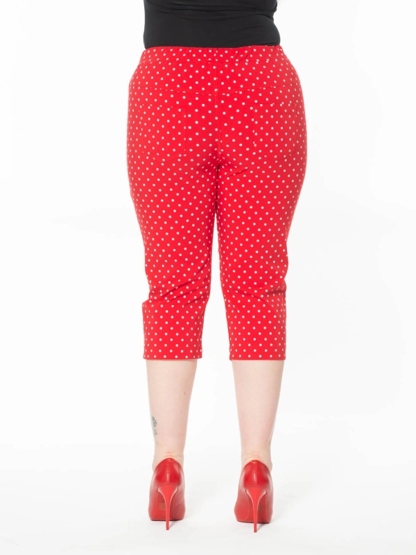 25150 CAPRI POIS
