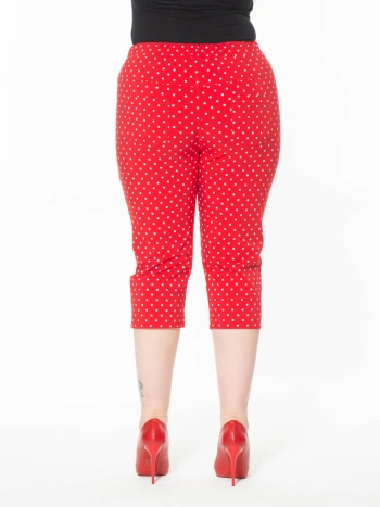 25150 CAPRI POIS