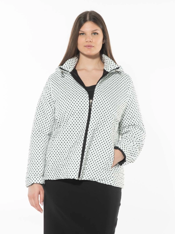 25067P 80 grams polka dots