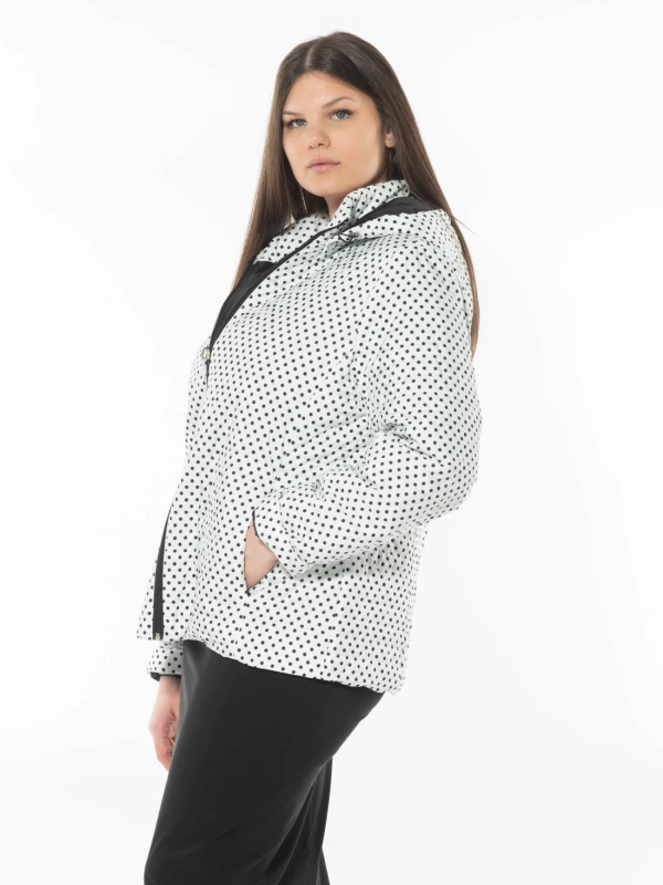 25067P 80 grams polka dots