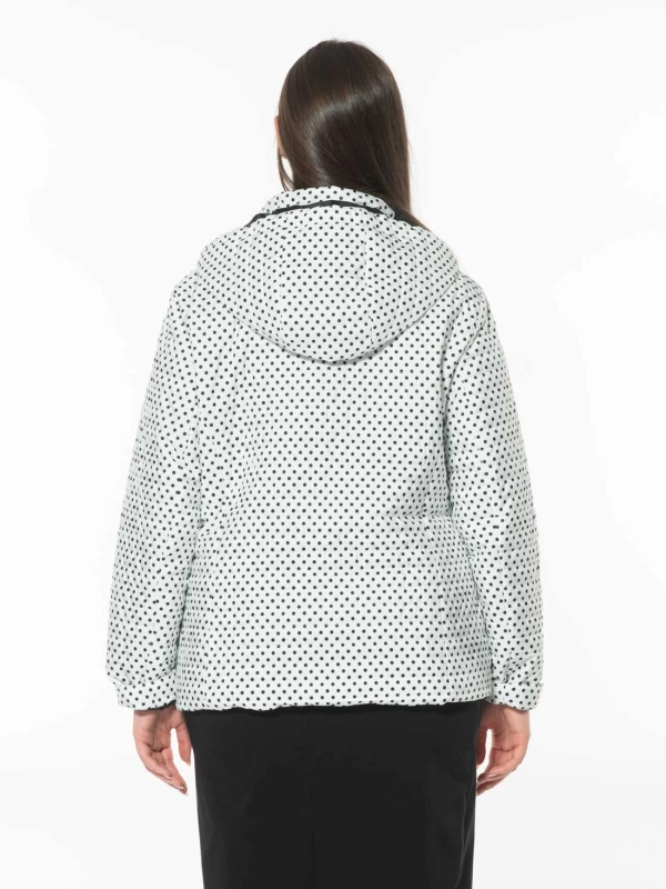 25067P 80 grams polka dots