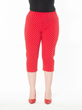 25150 CAPRI POIS